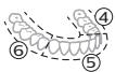 PHILIPS HX7420/02 - BrushPacer - 2