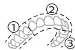 PHILIPS HX7420/02 - BrushPacer - 1