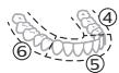 PHILIPS HX7420/02 - BrushPacer - 2