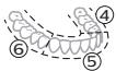 PHILIPS HX7420/02 - BrushPacer - 2