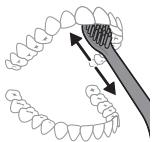 PHILIPS HX7420/02 - Pusseinstruktjoner - 5