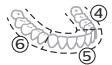 PHILIPS HX7420/02 - Funkcia BrushPacer - 2
