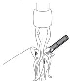 PHILIPS HX7420/02 - Pega da escova de dentes - 1