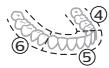 PHILIPS HX7420/02 - BrushPacer - 2