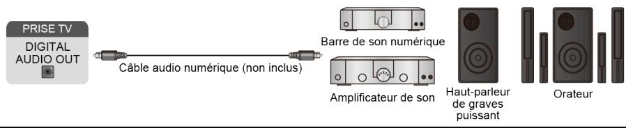 HISENSE 65A66H - Connexion de haut-parleurs ou d'autres récepteurs audio - 1