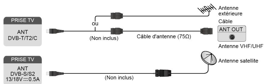 HISENSE 65A66H - Connexion d'une antenne - 1