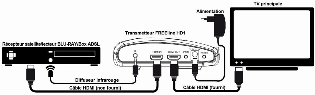 CGV FREELI NE HD1 - Étape 1: branchements du transmetteur - 1