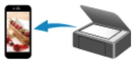 CANON PiXMA TR8550 - Numérisation - 4