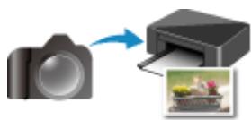 CANON PiXMA TR8550 - Impression - 4