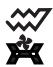 WESTLINE WFP56IX - Double grill et tourne broche : - 1