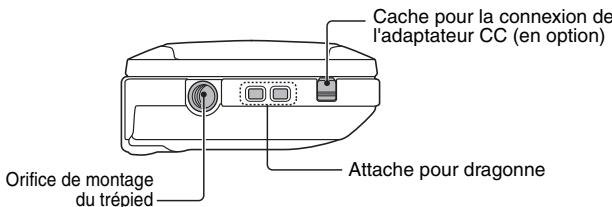 SANYO CS1 ARGENT + SD4GO - Partie inférieure - 1