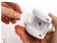 WELLBOX S MENTHE A L'EAU - Pour nettoyer les têtes roll ① ②: - 2