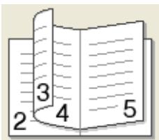 BROTHER HL-1212W - - Type de recto verso - 1