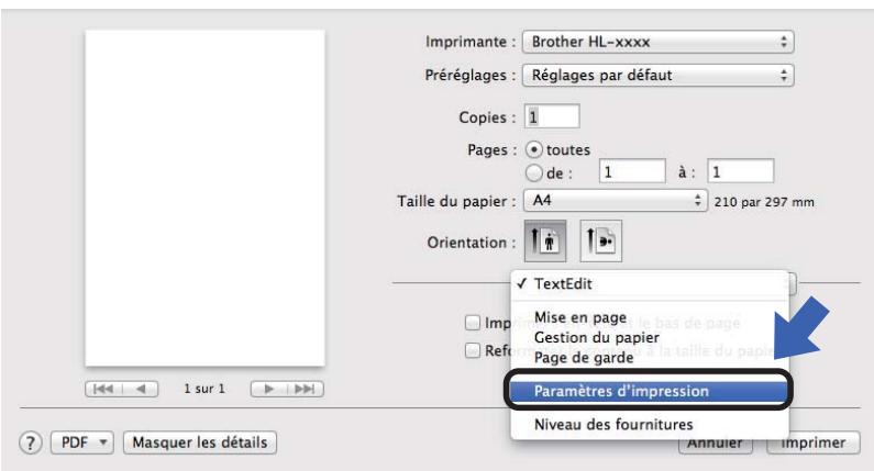 BROTHER HL-1212W - Choix des options d'impression - 1