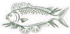 THOMSON TH-TTR6SSA+++ - Poisson et fruits de mer - 1