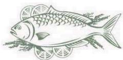THOMSON TH-TTR6SSA+++ - Fish and seafood - 1