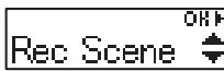 OLYMPUS VP-10 - Sélection du paramètre d'enregistrement automatique [rec scene] - 2