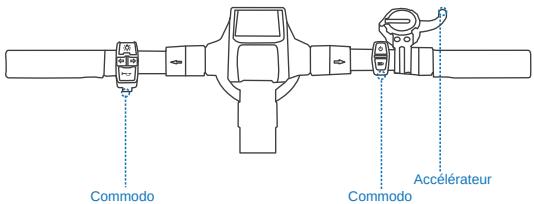 DUALTRON barryMINIMOTORSTROTTINETTEPOP52V14A - 4