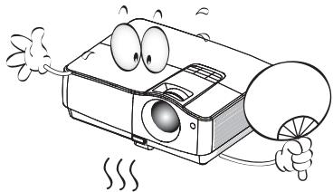 BENQ W1100 - Consignes de sécurité (suite) - 1