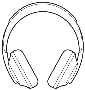 BOSE HP 700 - CONNEXION DES PRODUITS BOSE - 1