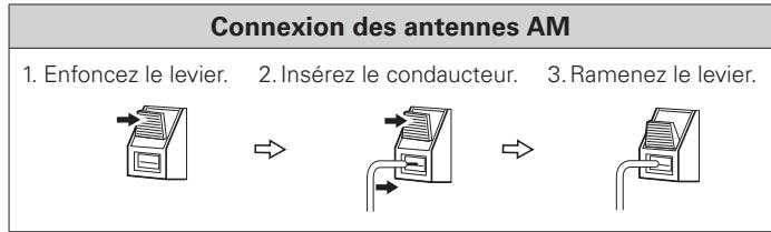 DENON AVR 1509 - Bornes d'antennes - 3