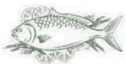 THOMSON TLR358NFW - Fish and seafood - 1