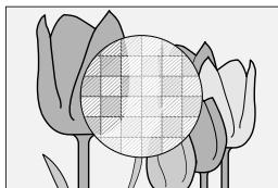 FUJIFILM X-S10 - MF Assist - 2