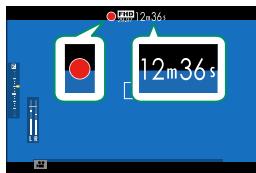 FUJIFILM X-S10 - The  (Movie Recording) Button - 3
