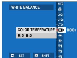 FUJIFILM X-S10 - Changing the color temperature changes overall hue. - 2