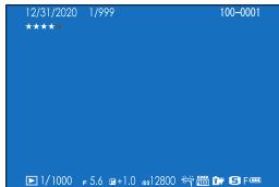 FUJIFILM X-S10 - Viewing Photo Information - 2