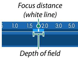 FUJIFILM X-S10 - The Manual Focus Indicator - 2