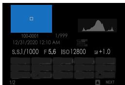 FUJIFILM X-S10 - Viewing Photo Information - 8