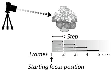 FUJIFILM X-S10 - -Focus and FRAMES/STEP - 1