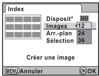 PENTAX K7+DA 18-55MM WR - Assemblage de plusieurs images (index) - 2