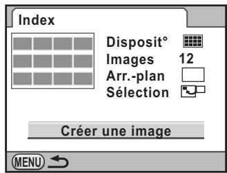 PENTAX K7+DA 18-55MM WR - Assemblage de plusieurs images (index) - 5
