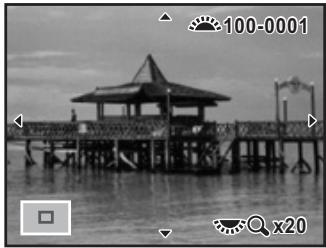 PENTAX K7+DA 18-55MM WR - Agrandissement des images - 2