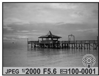 PENTAX K7+DA 18-55MM WR - Agrandissement des images - 1