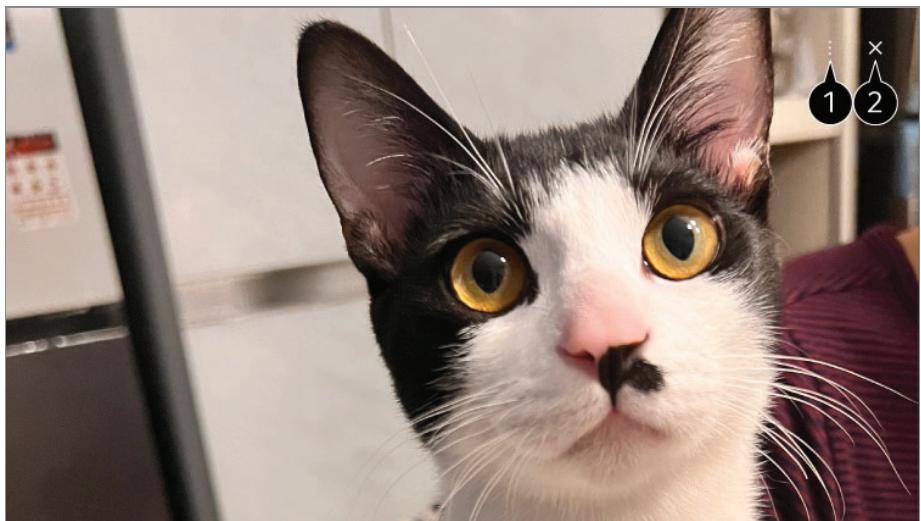 LG QNED75 - Connexion d'uneamera au téléviseur - 1