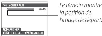 FUJIFILM XP10 - Rognage FILM - 3