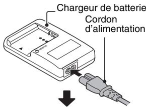 SANYO CG100 - 4 - 1