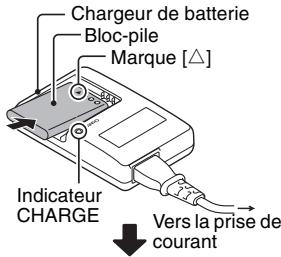 SANYO CG100 - 4 - 2