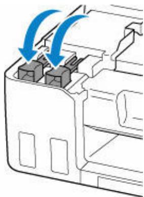 CANON G550 - Important - 2