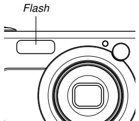 CASIO EX-Z750 - Important! - 1