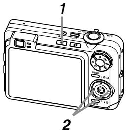 CASIO EX-Z750 - Revoir une photo - 1