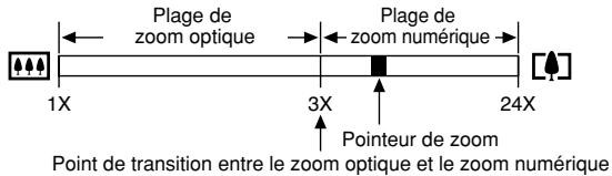 CASIO EX-Z750 - Prendre une photo avec le zoom numérique - 2