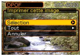CASIO EX-Z750 - Régler les paramètres d'impression pour une seule photo - 1