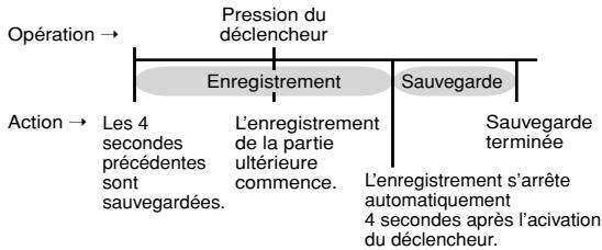 CASIO EX-Z750 - Enregistrement d'une courte séquence (mode séquence courte) - 1