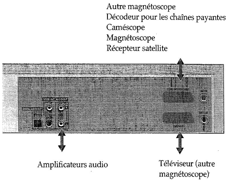 PROLINE DVCR 100 S - Copie - 1