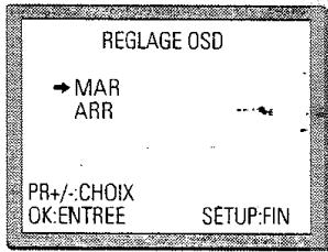 PROLINE DVCR 100 S - Activation et désactivation de la fonction OSD - 3