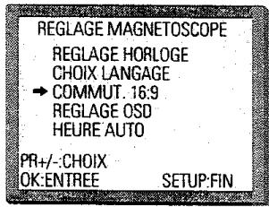 PROLINE DVCR 100 S - Lecture / enregistrement du format 16:9 - 1